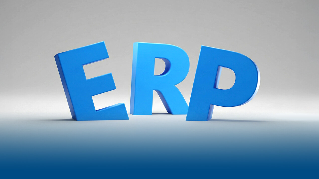 External audits and inspections: How an ERP system contributes